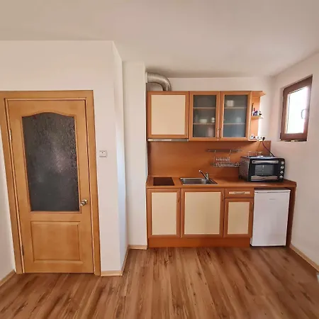 Vasyliq Apartament 반스코